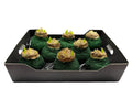 Bioglitter Amaryllis Dennengroen in tray