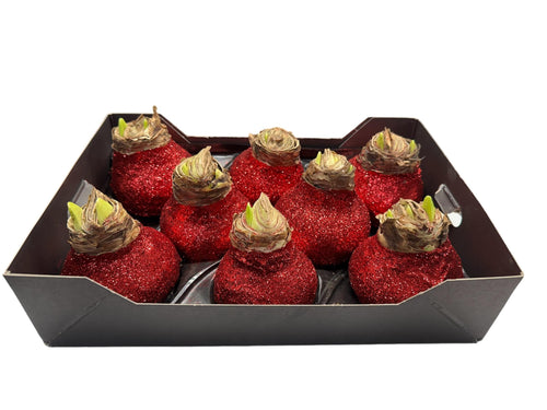 Bioglitter Amaryllis Kerstrood in tray