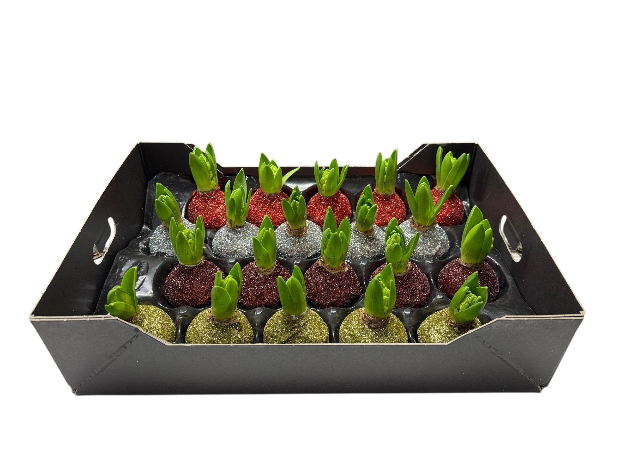 Bioglitter Hyacint Mix in tray