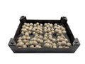 Glitter Malusappel Goud in tray