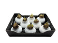 Wax Amaryllis Wit in tray
