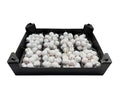 Glitter Malusappel Wit in tray