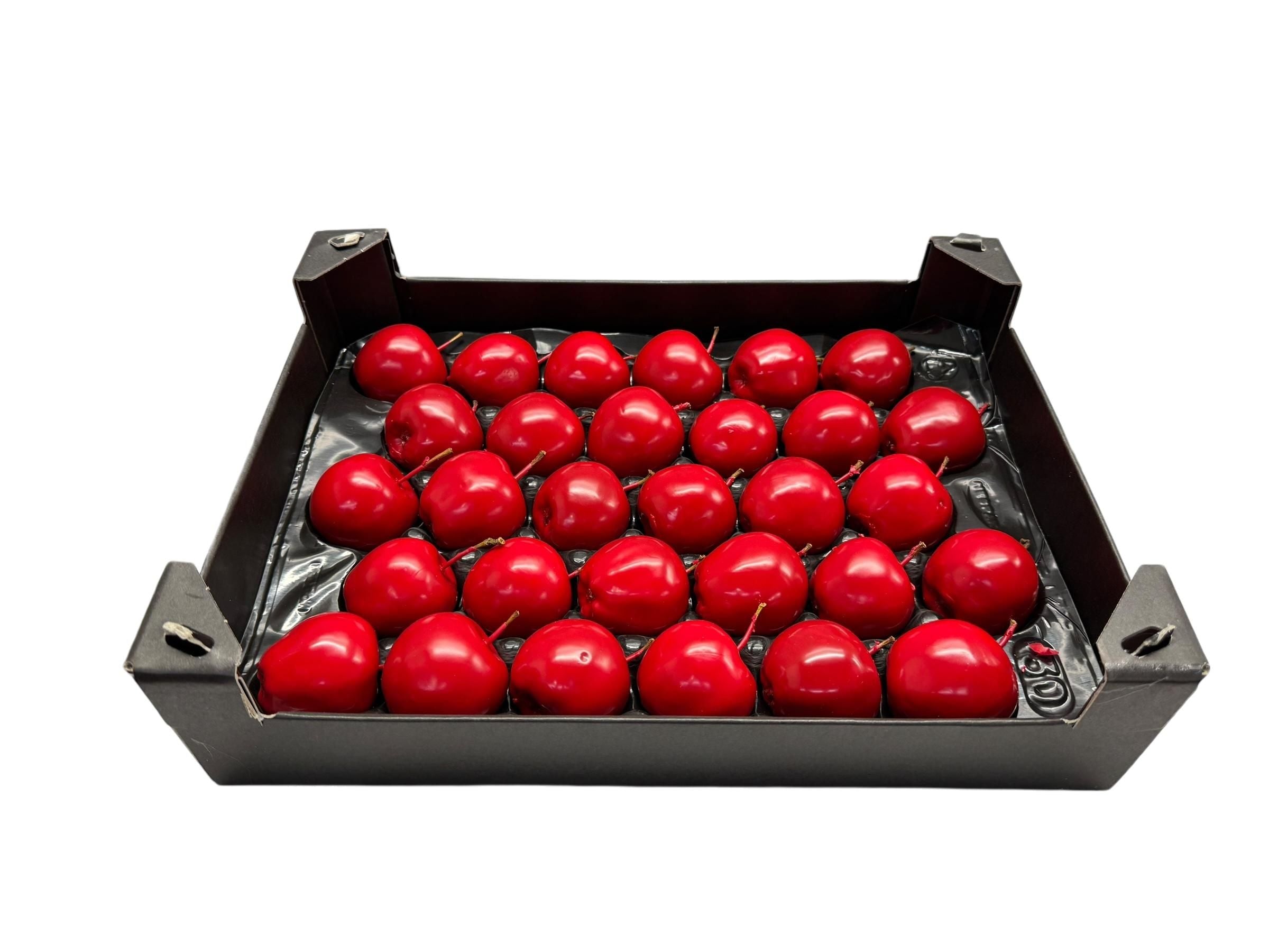 Wax Appel Kerstrood in tray