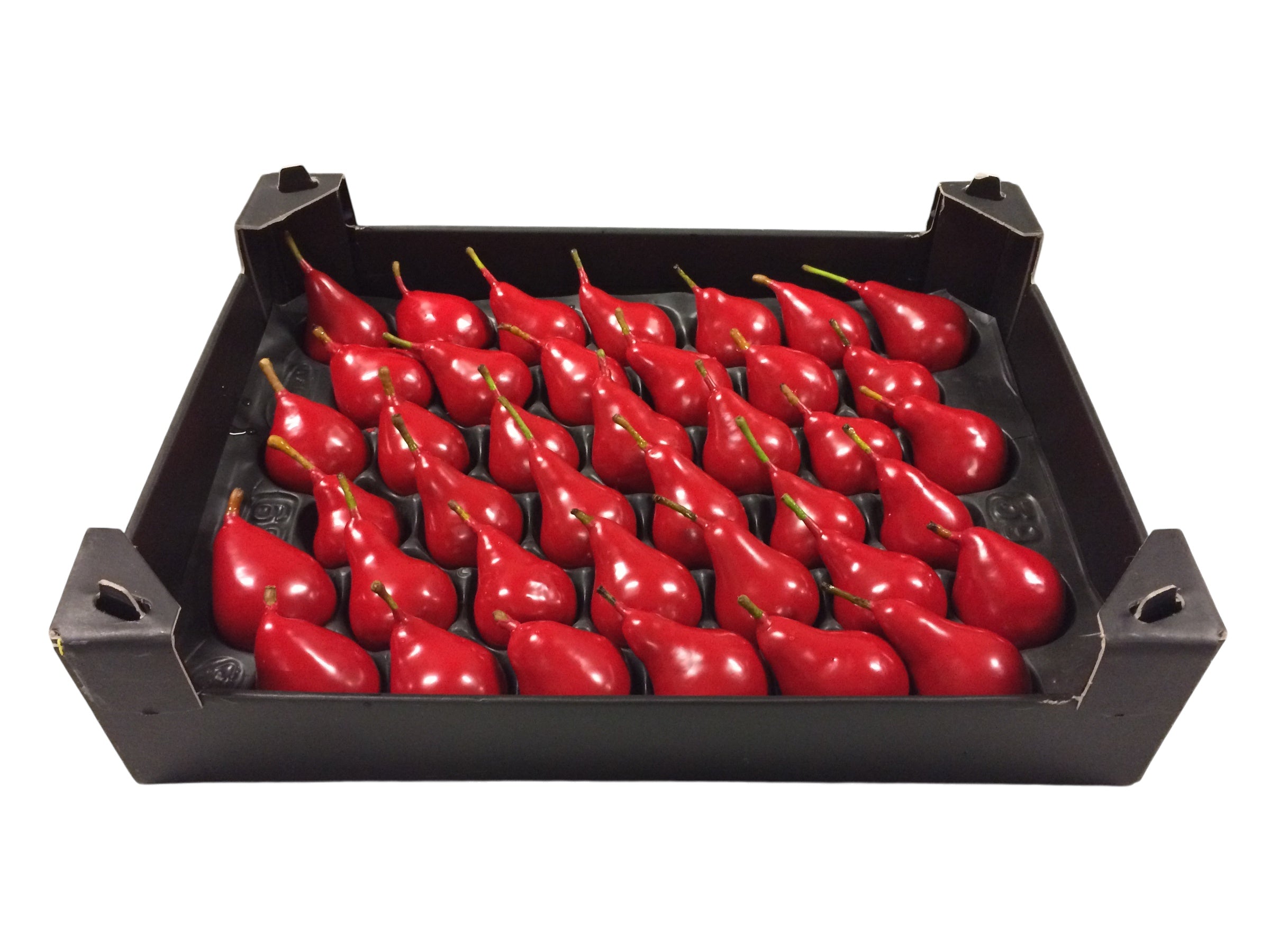 Wax Peer Kerstrood in tray