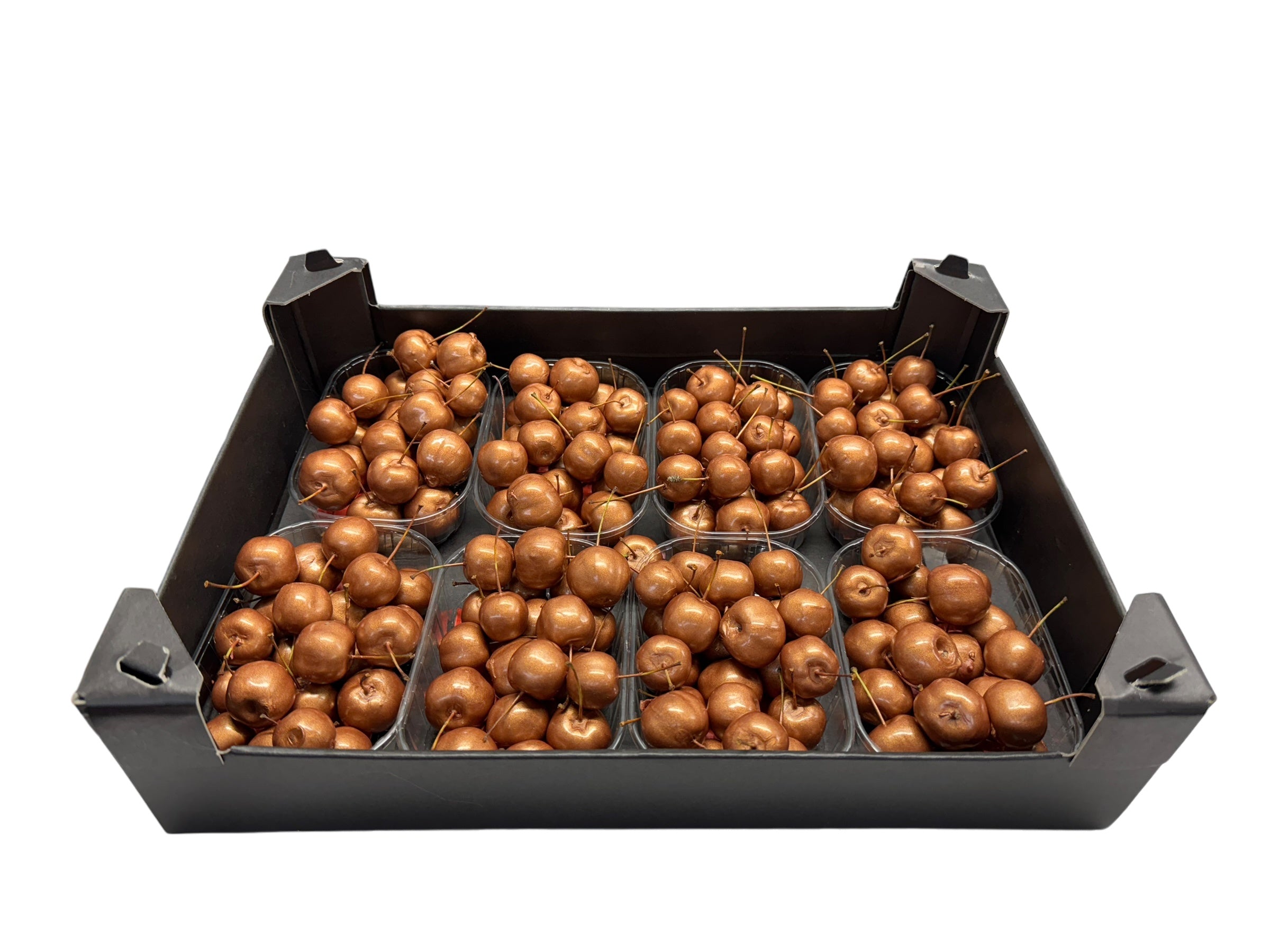 Wax Malusappel Koper in tray