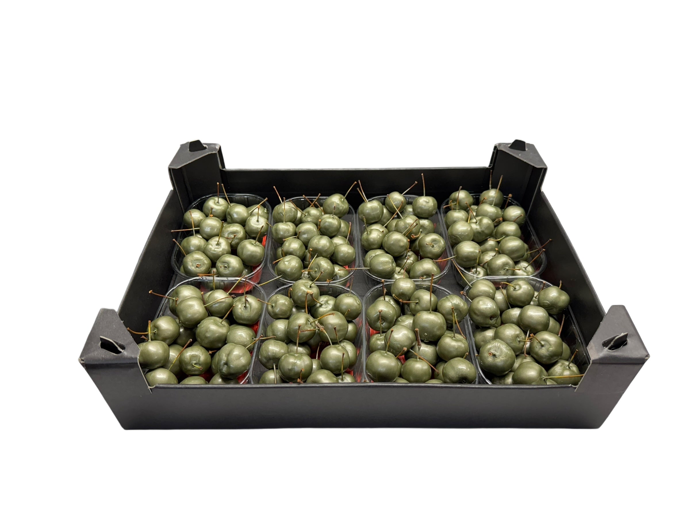 Wax Malusappel Olijf in tray