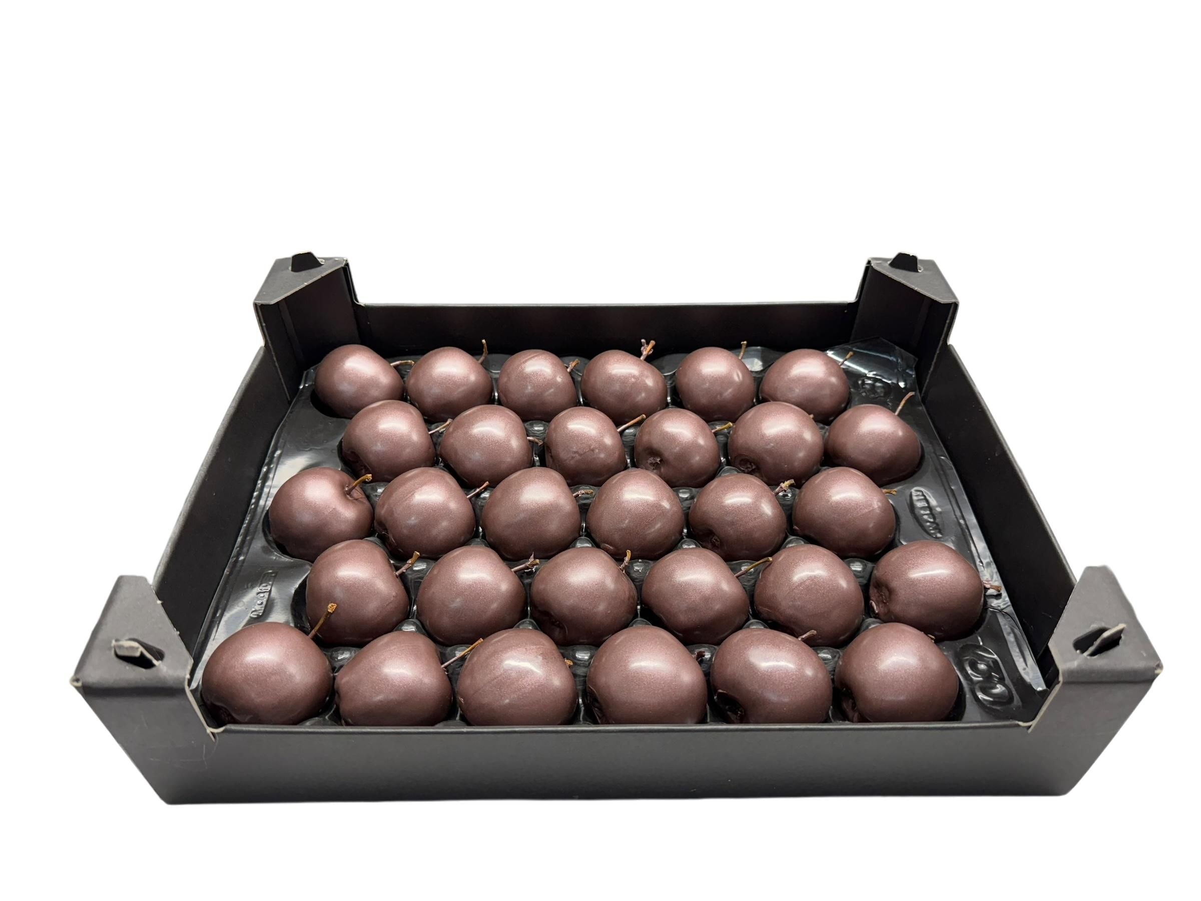 Wax Appel Taupe in tray