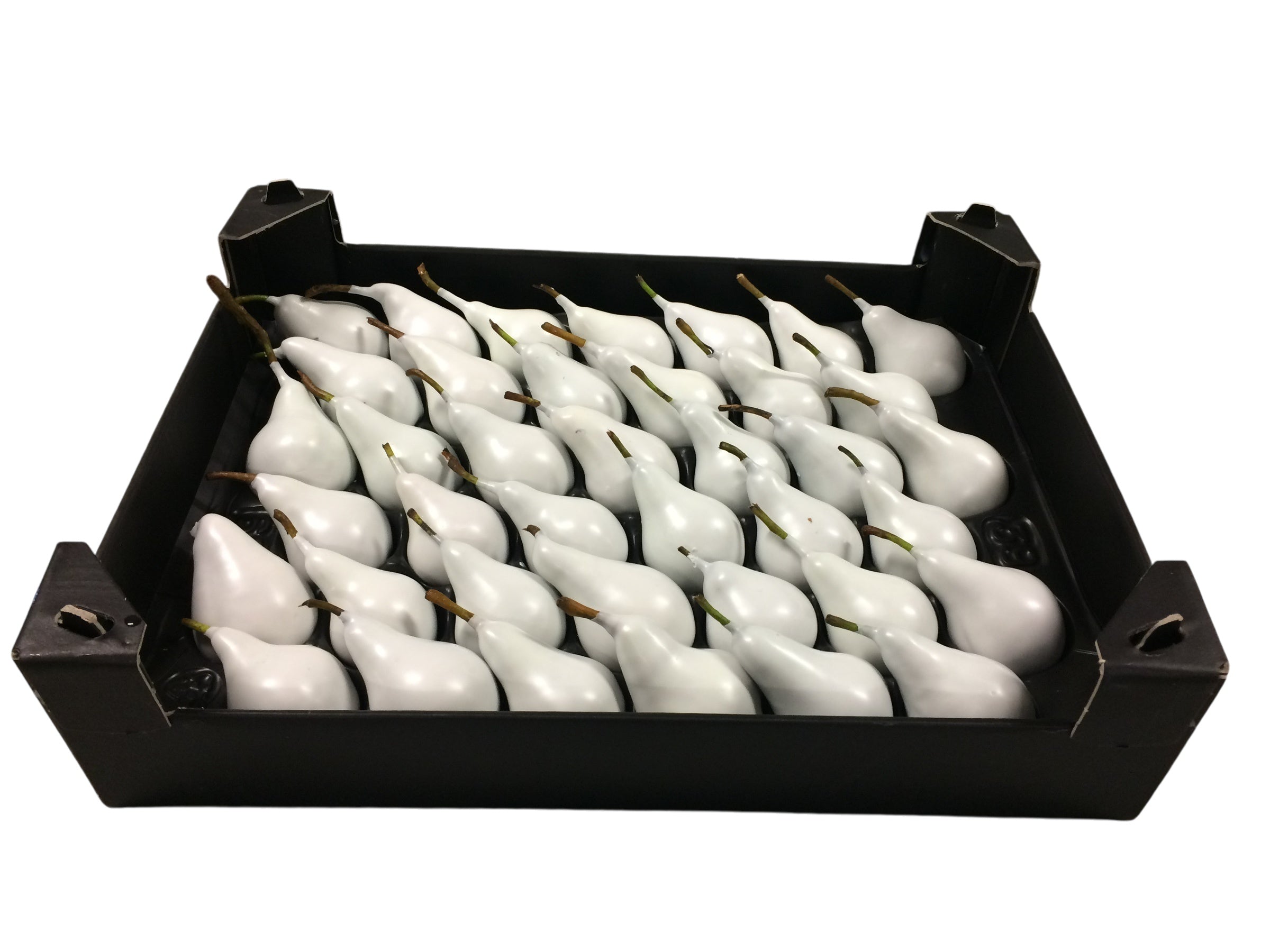 Wax Peer Wit in tray