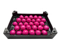 Wax Appel Fuchsia in tray