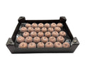 Glitter Appel Koper in tray